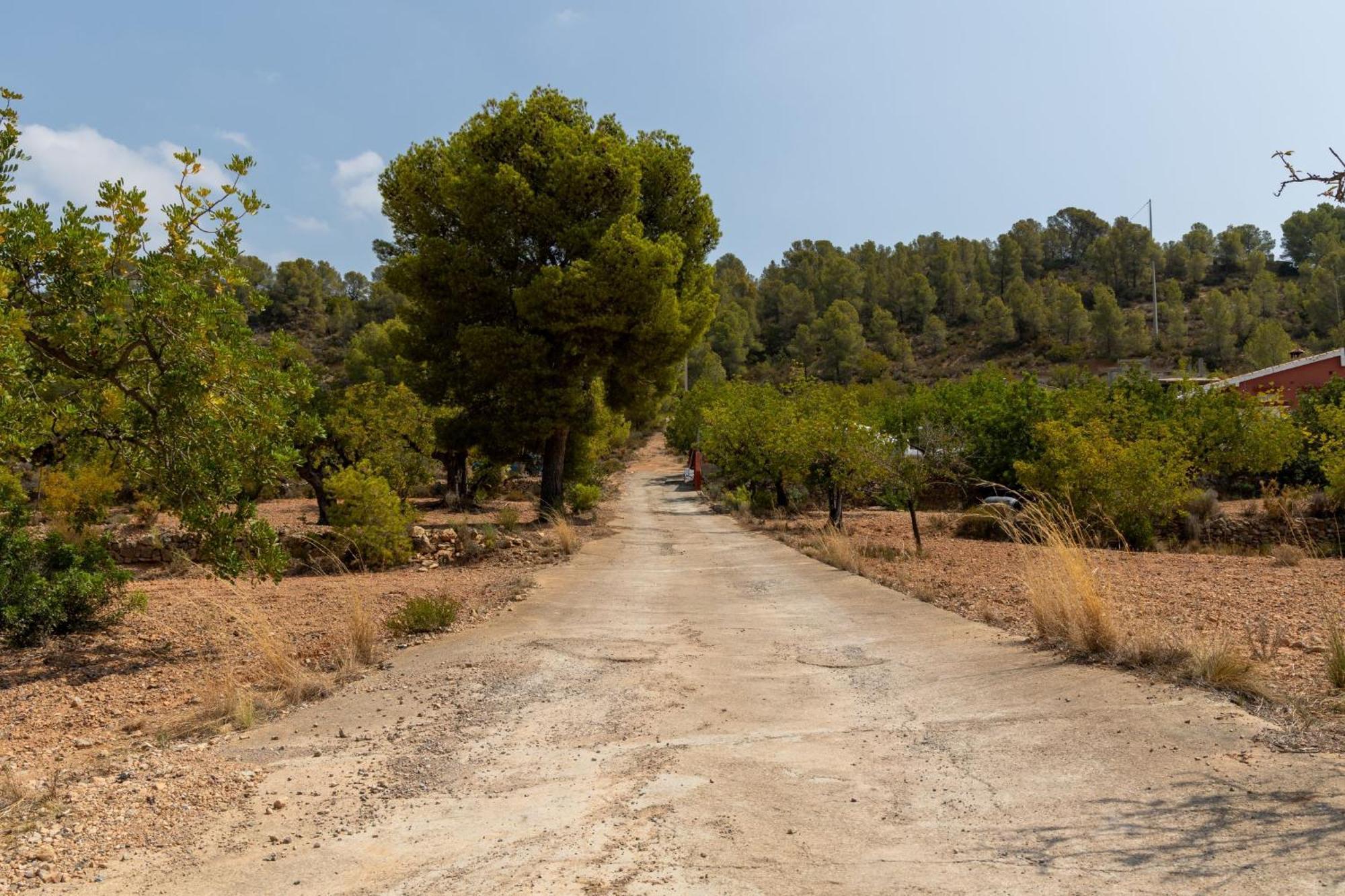 Finca El Escondite Olocau Luaran gambar